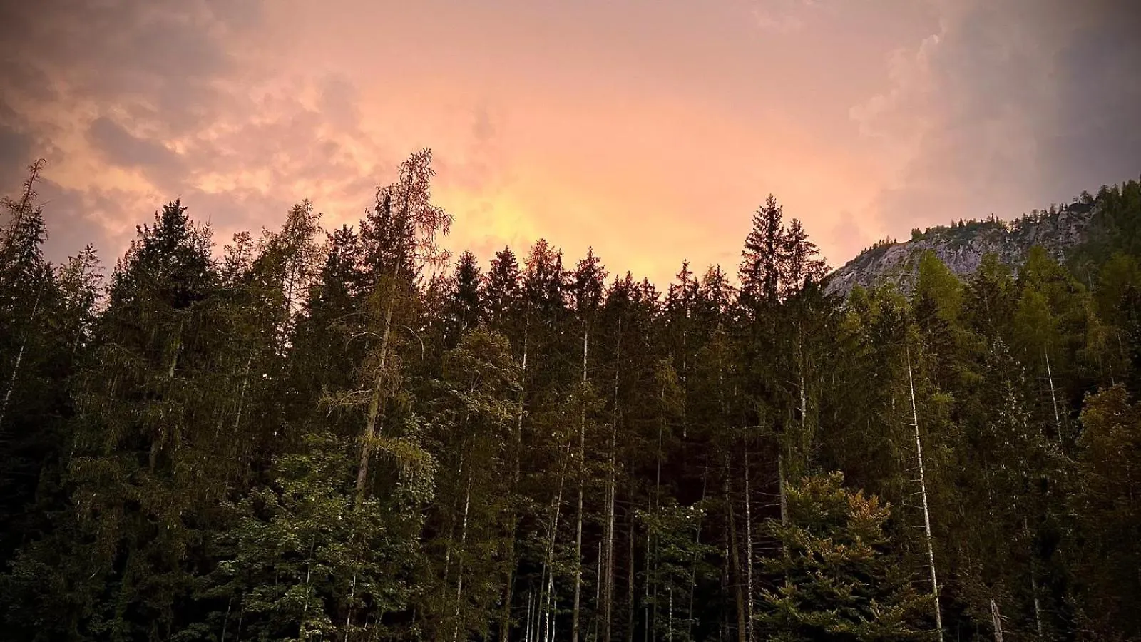 Apartment Berg & Wald Ferienwohnungen Schoenau am Koenigsee